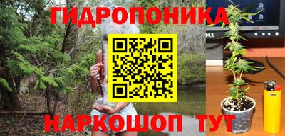 гашишное масло Кингисепп
